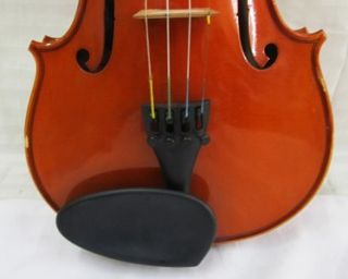 Chan Lee Eastman Strings 4 4 Entry Level Violin with Case