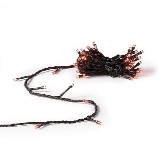   Operated LED Orange Light Strand   48 Lights