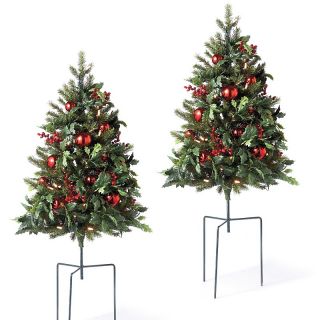 Grandin Road Cordless and Holly Berry Staked Pathway Trees   Set of 2