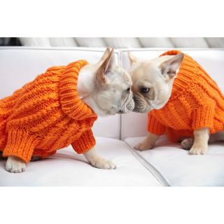 109 9918 isabella cane knit dog sweater orange small rating be the