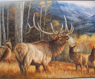 Elk in The Rockies Hunting Wildlife Wallpaper Border 9