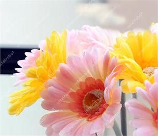 1pcs Pink Artificial African Daisy Silk Gerbera 4 Flower Wedding Home