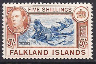 Falkland Islands 1938 5sh Sealions SG161 Mint 140
