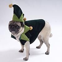 new elf christmas costume for your extra small dog 8