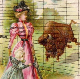  Buffalo Danger Wild West Page Fence Farm Advertising Trade Card