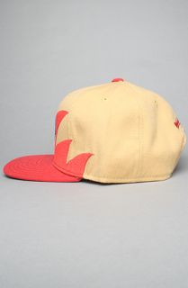 Mitchell & Ness The San Francisco 49ers Sharktooth Snapback Hat in Red