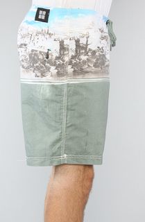 Insight The Foolosophy Boardshorts in Fools Paradise