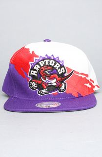 Mitchell & Ness The Toronto Raptors Paintbrush Snapback Hat in Purple