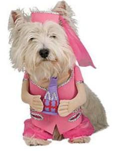 New I Dream of Jeannie Pet Dog Halloween Costume NIP XL
