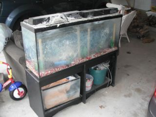 55 Gallon Fish Tank Aquarium with Hood Stand Filters Heater etc
