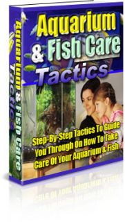 How to Set Up A Home Fish Aquarium Fish Care Tactics