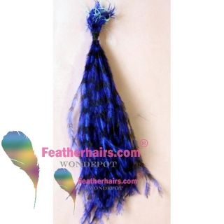  will receive 10 pcs feather hair extensions with 10 micro ring beads