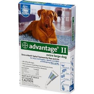 Bayer Advantage II Extra Large Dogs Over 55 lbs 4 Pack 4 Months