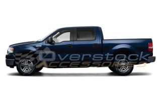 2004 2008 Ford F 150 Super Crew 5 Stainless Steel Oval Nerf Bars Side