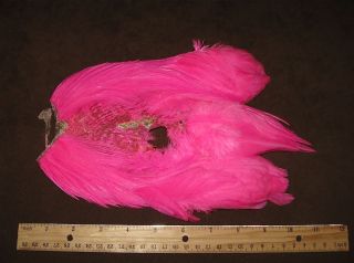  Pink Flatwing Cape Saddle Dry Fly Fishing Feathers Lot #380 Hackle Mix