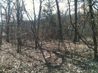 Beautiful Lake Fort Gibson Lot with Electric Hunting Land