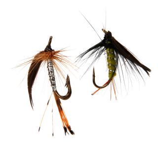 New 12pcs Fly Hooks Fishing Flies Hook 12 Lures Dry Fish DonT Need