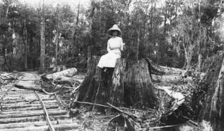 Frank Drew’s wife Lula enjoying an outing along the Luraville branch