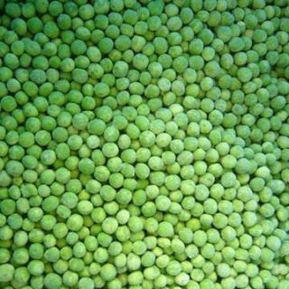 Peas Freeze Dried Dehydrated Survival Food 10 Can