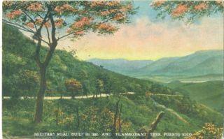  Military Road Built in 1850 and Flamboyant Tree C 1919 Postcard