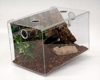 Terrestrial Acrylic Reptile Tarranta Terrarium Geico Snake Frog