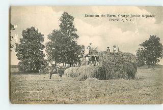 3730 Vintage Postcard c1910 Freeville, New York Scene on the Farm