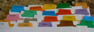 FILE TABS for Coupons pre printed make your own organizer Cut to size