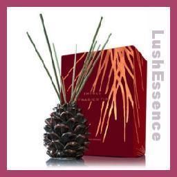 Thymes Frasier Fir Pinecone Reed Diffuser Gift Set