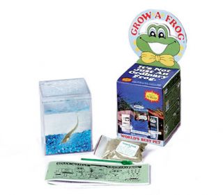 Grow a Frog Activity Kit Biology Live Tadpole Material Kit