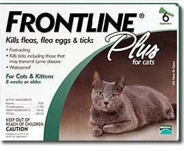 Frontline Plus for Cats 8 Weeks or Older 6 Month