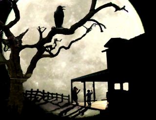1black raven in tree general store with dog and boy silhouette in