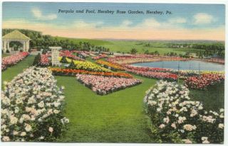 Hershey PA Pergola Pool Rose Garden Linen Postcard Pennsylvania