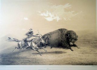 George Catlin Buffalo Hunt  Stone Litho