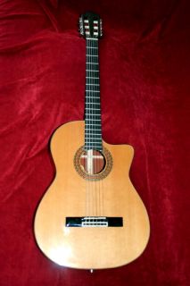 Guild GAD N5 GAD 5N Acoustic Electric Classical Guitar   Solid African