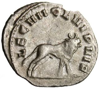 Gallienus AR Antoninianus Legion VII Bull RIC 348 Rare Authentic