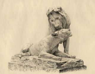 Georges Gardet Sculpture Statue Lion Lionne Eau Forte Profit 1896