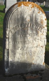 russell palmiter birth 1812 death 1890 family links spouse phebe