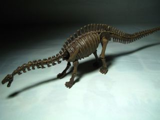  4D Geoworld Puzzle Dinosaur Apatosaurus Fossil