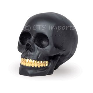 Black Skull Figurine with Gold Teeth Cool Realistic Skull
