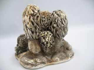 Morel Mushrooms Carved Ceramic Sculpture Allan Gobles
