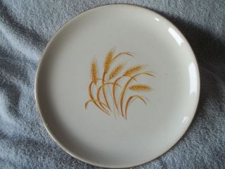   HOMER LAUGHLIN Golden Wheat Luncheon Plate Dinnerware Retro USA old