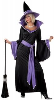 New Incantasia The Glamour Witch Adult Costume C00853