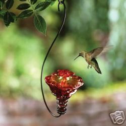 Red Flower Gloria Glass Hummingbird Feeder Parasol New