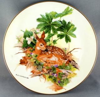 Glen Loats Fawn A Brush with Life Collector Plate Limited to 9800