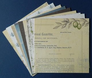 Stampin Up Retired Designer Papers Botanical Gazette