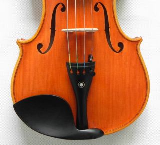 Pro Level Violin Deep Loud Sound Guarneri Del Gesu 1742 Violin Model