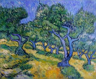 High Q Hand Painted Oil Painting Repro Van Gogh Olive Grove
