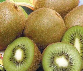 Combo Kiwi Plants Set Male Female Great Fruit Must Have 2