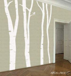 Wall Vinyl Decal Sticker Forest Birch tree 101 height