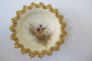 19thC  Worcester Porcelain Handpainted Bullfinch Pin Dish